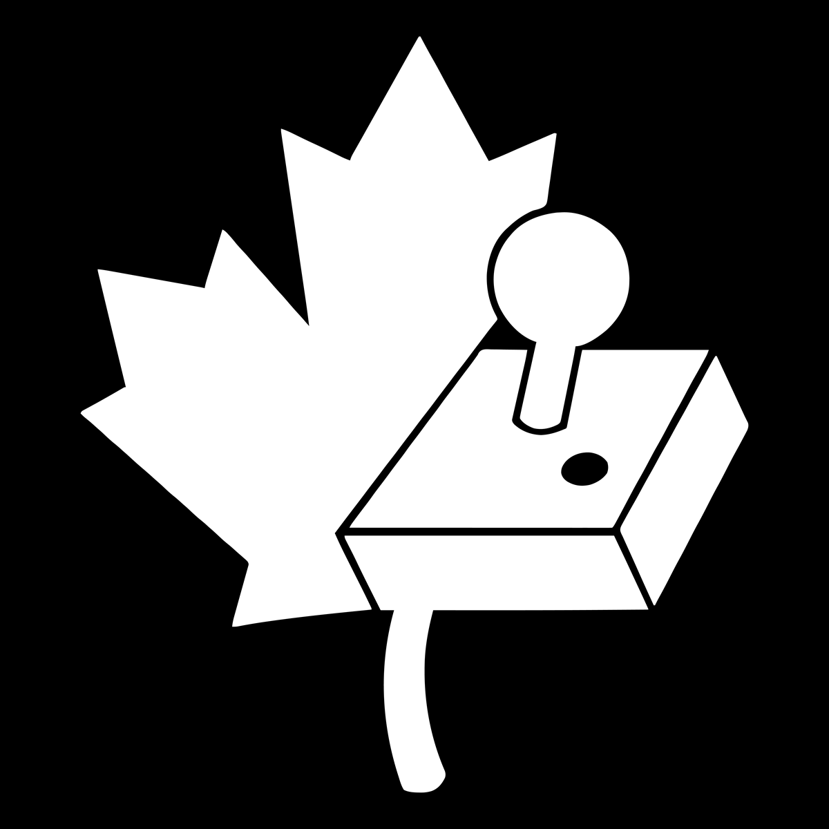 Canadian Video Game Museum