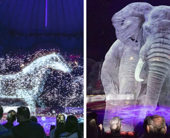 animal-holograms-circus-roncalli-germany-fb.png